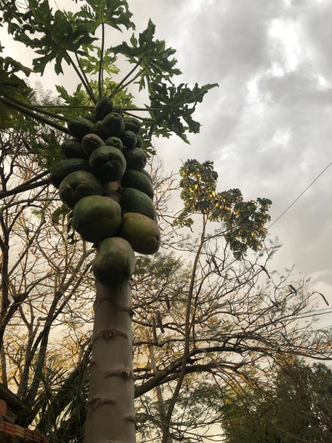 Oga'I Alquiler Turistico Lejlighed Puerto Iguazú Eksteriør billede